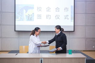 真实本位,创意传播 我校文化传媒学院毕业设计侧记